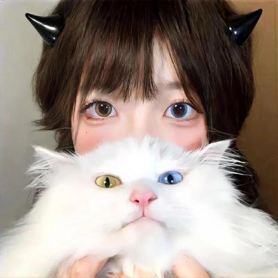 黑鸽第一季
